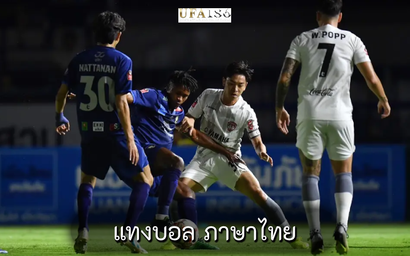 แทงบอล ภาษาไทย